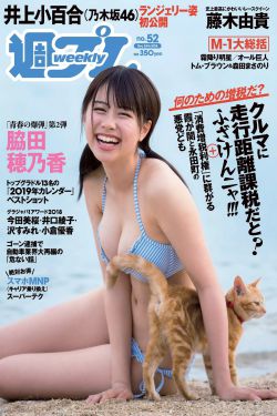 蜘蛛有几条腿